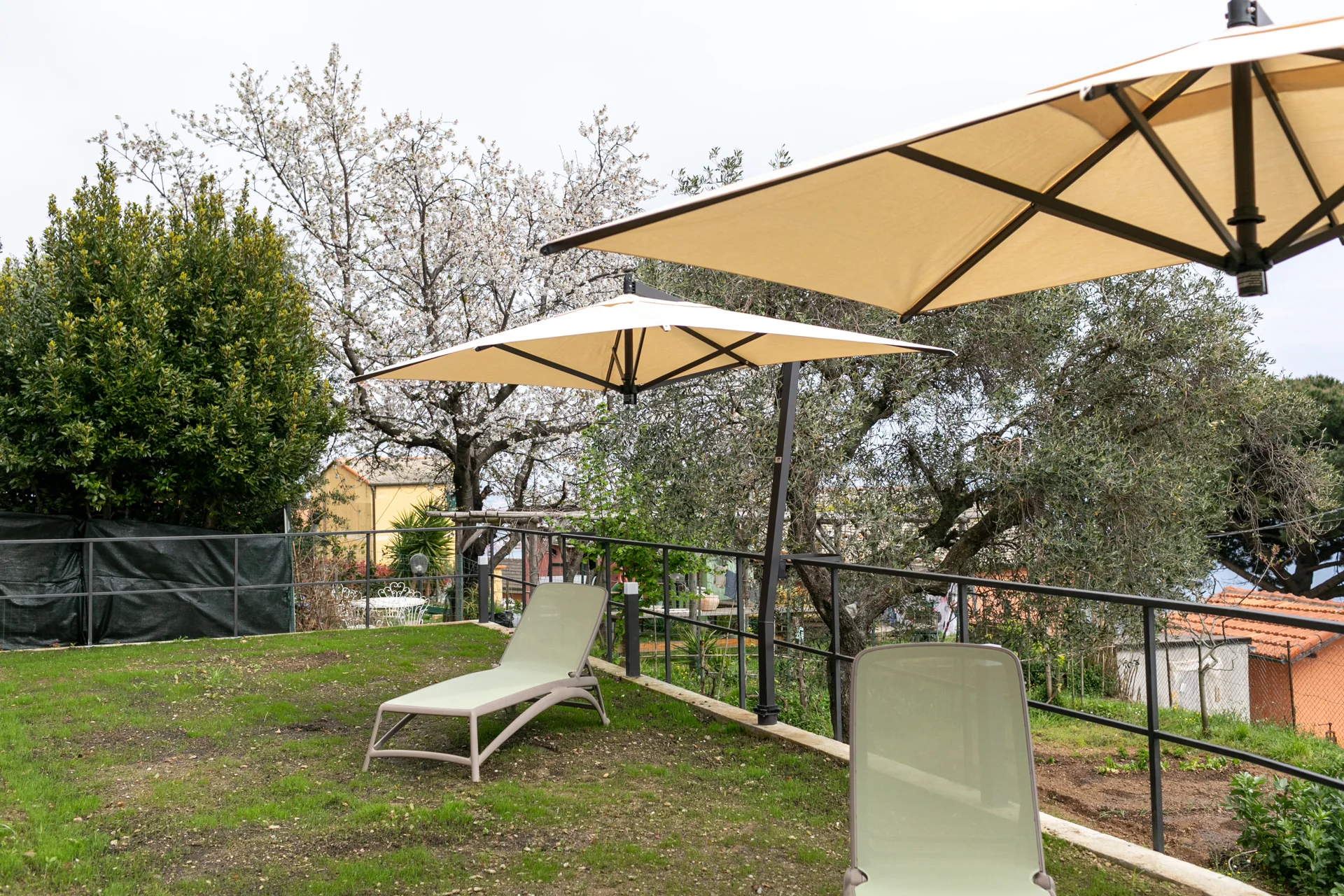 Giardino con sdraio e ombrelloni tra gli ulivi